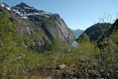 Trollfjord